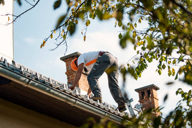 Roof Installation Near Me in Wilberforce, OH